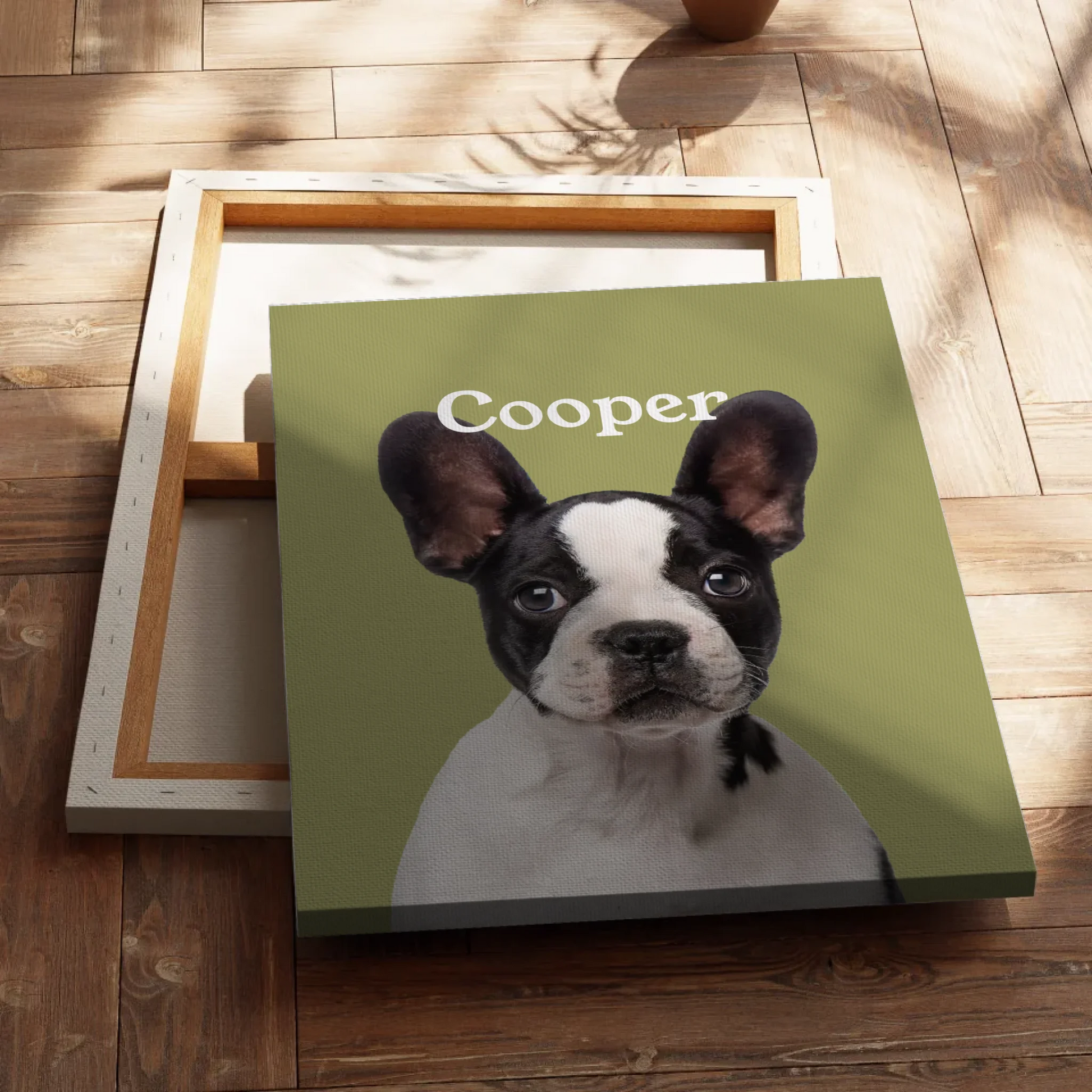 lienzo06 lienzo-bola3