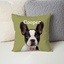 Pillow - Square - all color 4